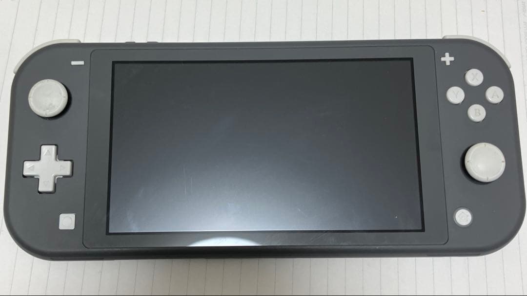 任天堂スイッチライト グレー あつまれどうぶつの森