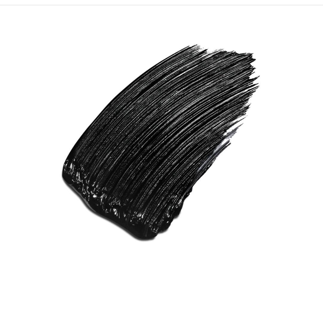 CHANEL アイシャドウ　308 マスカラ　10