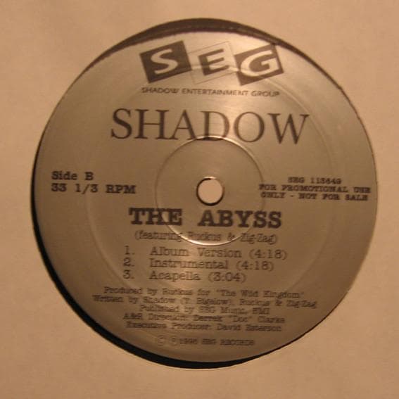 DAY BY DAY / THE ABYSS SHADOW レコード